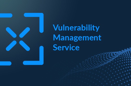 Vulnerability Management as a Service (VMaaS)