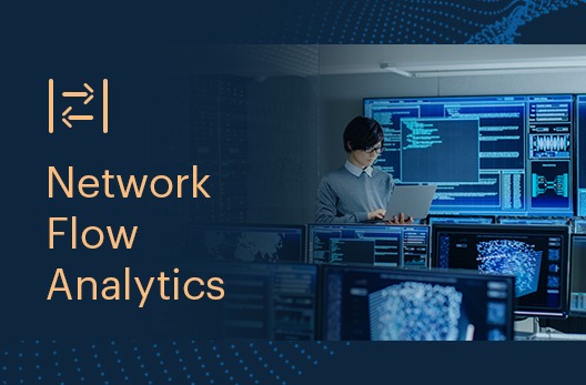 Network Flow Analytics