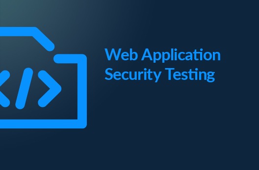 Web Application Security Testing