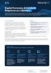 Datasheets screenshot-Digital Forensics & Incident Response as a Service-small