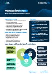 Managed Defense Datasheet Cover