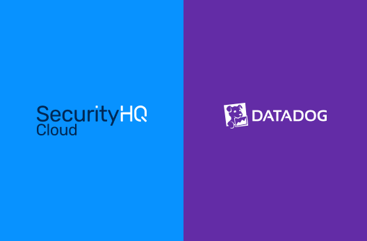Managed Datadog Security Solutions